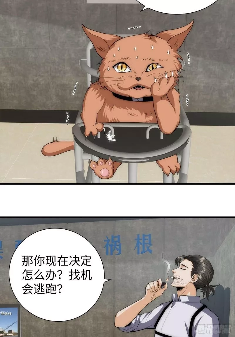 我真的好怕啊！,042 审判猫咪,第38张
